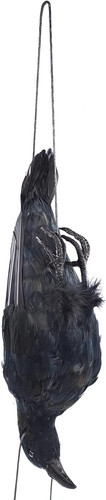 Inch realistic hanging - hanging, dead
