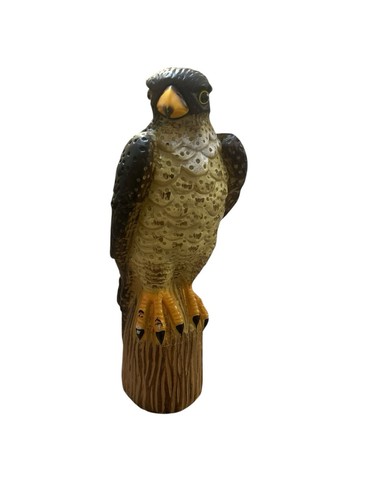 Easy gardener 2010 raven bird - easy,