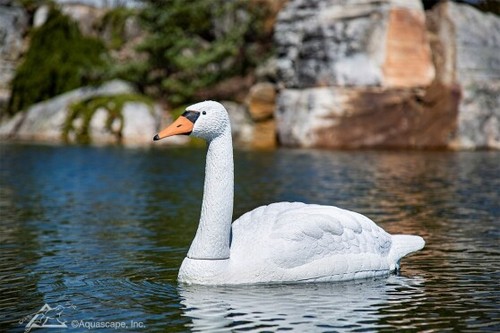 Aquascape 74014 floating swan - aquascape,