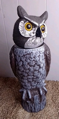 2005 bobblehead owl - owl, blow