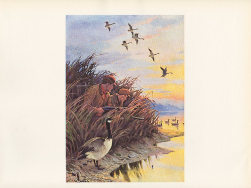 1972 vintage hunting live - 1972,