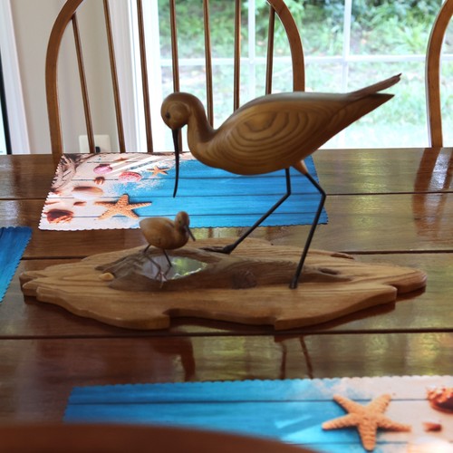 Jerome sciortino shorebird - lg,