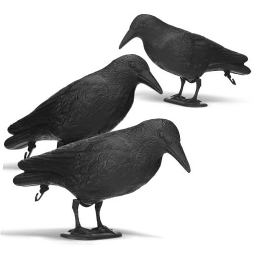 Pcs realistic crows decoy - 3,