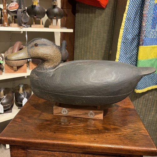 Vintage william cranmer - cranmer, lg